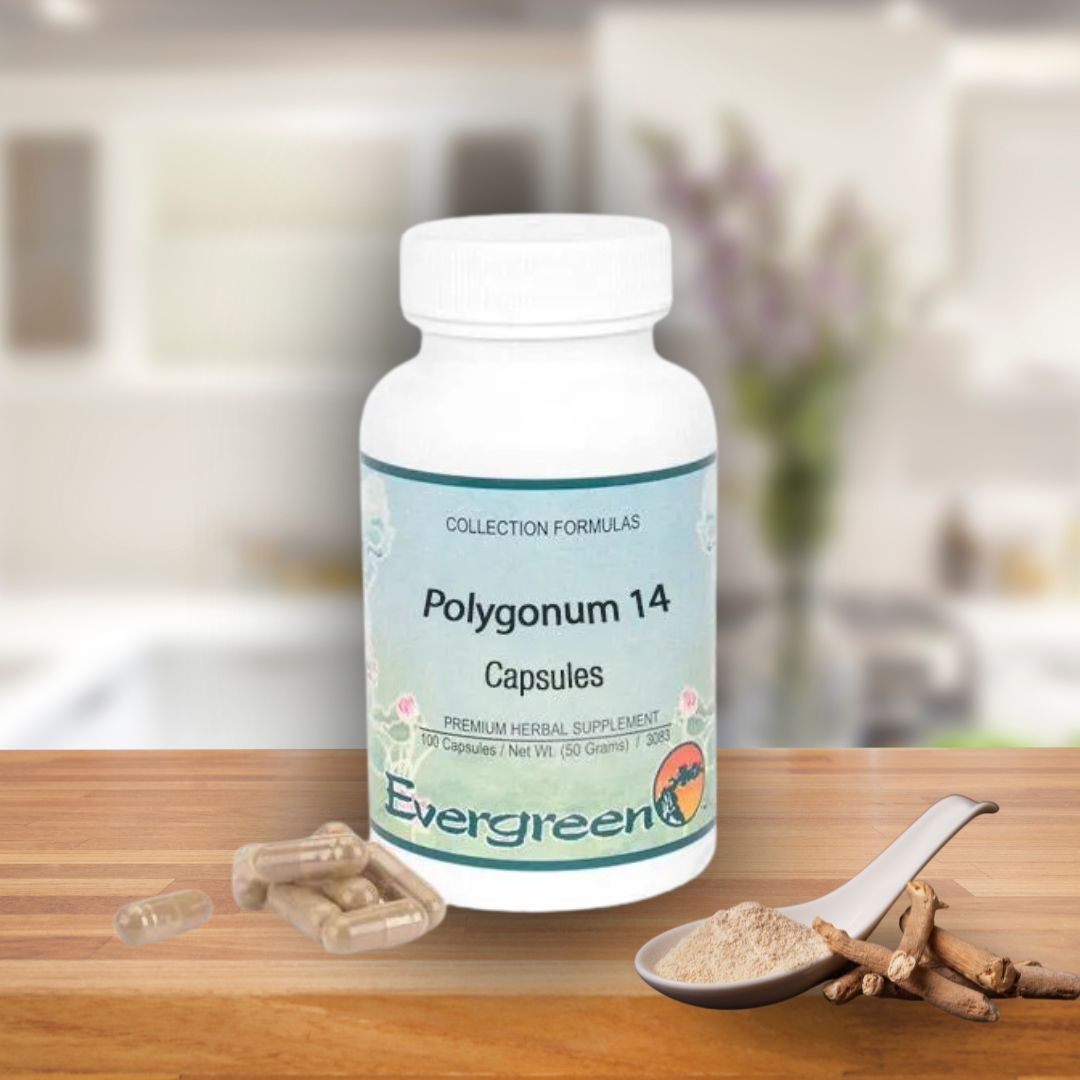 Polygonum 14